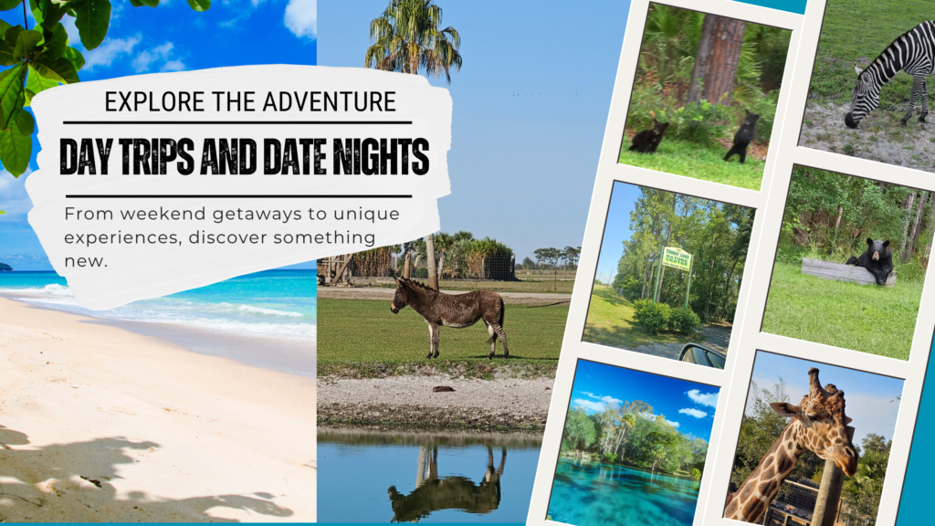 Day Trips and Date Nights Banner